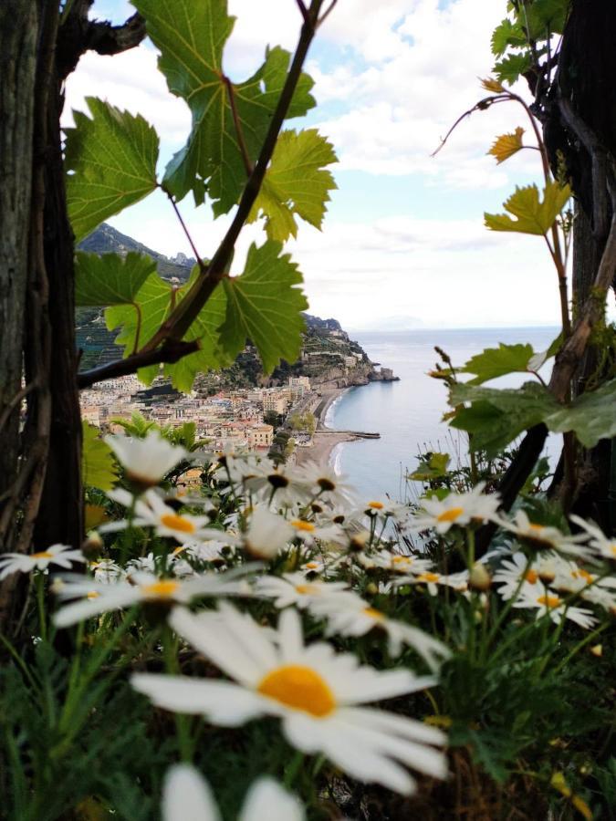 Ferienwohnung Eden Tra I Limoni Minori Exterior foto